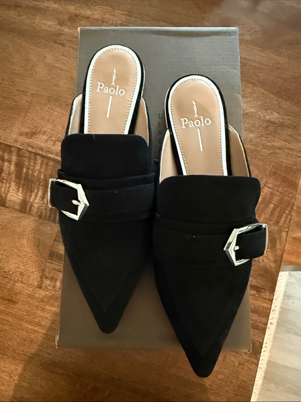 Paolo Black Pointed Suede Buckle Mules